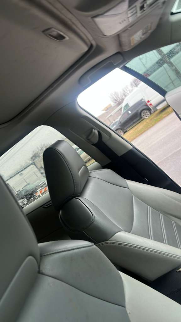 2019 Toyota RAV 4 XLE Premium thumbnail 4