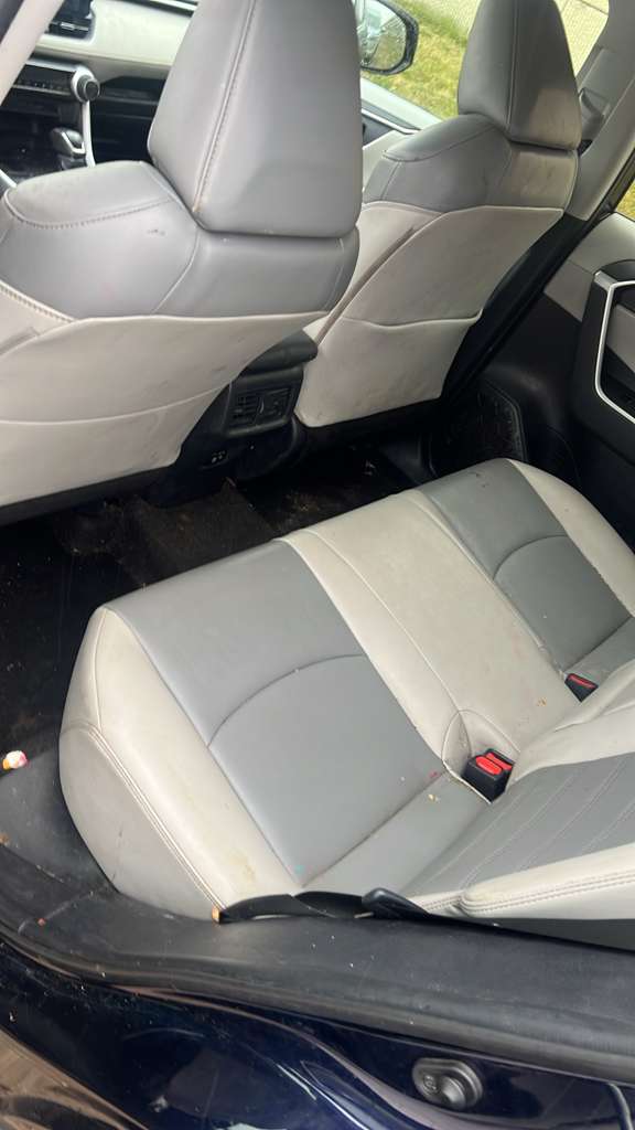 2019 Toyota RAV 4 XLE Premium thumbnail 6