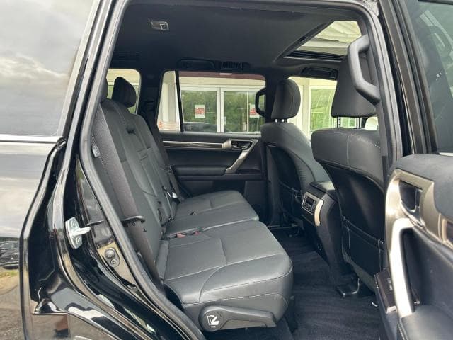 2019 Lexus GX 460 thumbnail 4